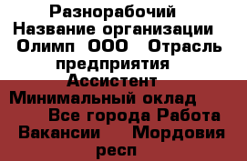 Разнорабочий › Название организации ­ Олимп, ООО › Отрасль предприятия ­ Ассистент › Минимальный оклад ­ 25 000 - Все города Работа » Вакансии   . Мордовия респ.